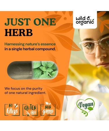 Wild & Organic Stinging Nettle Leaf Capsules - 1000 mg Stinging Nettle Extract for Urinary Support - 90 Vegan Herb Capsules - 45 Days Supply - Non-GMO Gluten-Free No Fillers 90 Count (Pack of 1) - Buy Online on GoSupps.com