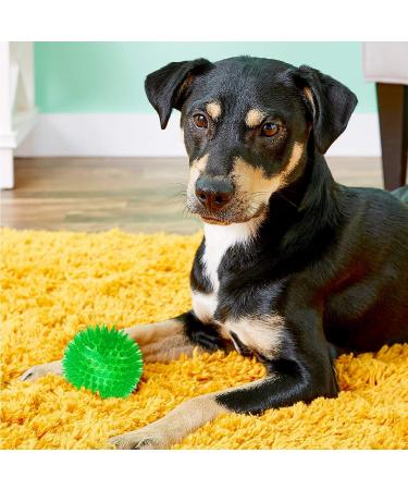Buy Squeaky Rubber Balls for Dogs - 3-Piece Set in Bright Colors | Durable TPR Puppy Toys | Ideal Dental Pet Toys for Medium Dogs - Buy Online on GoSupps.com