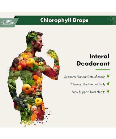 Buried Treasure Liquid Chlorophyll Drops - Copper Chlorophyllin from Mulberry Leaves, Manufactured in USA, Vegan, Supports Overall Wellness, Unflavored, 30 Servings. - Buy Online on GoSupps.com