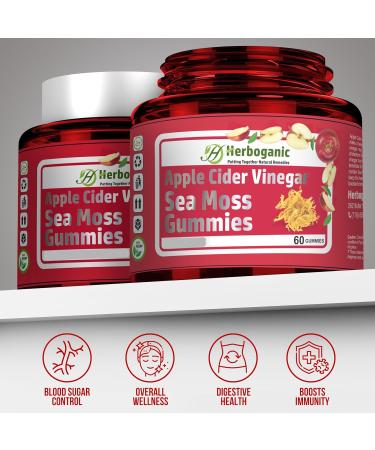 HERBOGANIC Apple Cider Gummies 60 Gummies for Your Over All Health and Wellness Apple Cider 60 Count (Pack of 1) - Buy Online on GoSupps.com