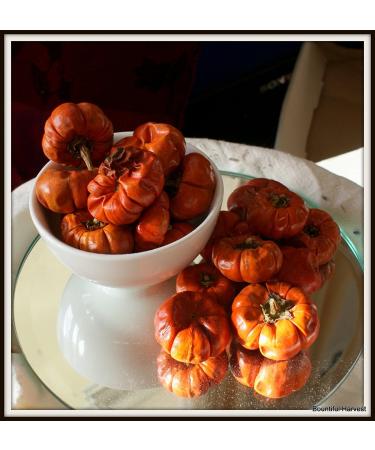 Bountiful Harvest Decorative Fruits for Christmas Decorations and Wreaths (All Fruits (Dried Mini Pumpkins 250g)