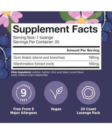 Matys Kids Throat Lozenges for Ages 6 Years Old + Tasty Black Currant Flavor Soothe Dry & Irritated Throats & Voices with Marshmallow Root Sugar Free Vegan Dye Free Alcohol Free 20 Count - Buy Online on GoSupps.com