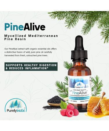 PURELY WILD PineAlive - Raw Pine Resin & Black Seed Oil Complex | Wild-Harvested Forest Extract | Dr. Cass Ingram's Original Formula | 1 fl oz with Dropper - Buy Online on GoSupps.com