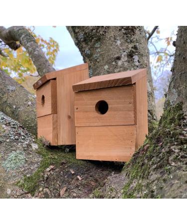 Wooden Multi-Hole Wild Bird Classic Nest Box Birdhouse (Pack of 2) - Buy Online on GoSupps.com