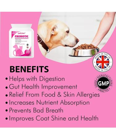PETTZIES Probiotics For Dogs and Cats - 120 Tablets - Diarrhoea Bad Breath Itchy Skin and Yeast Infection Treatment - Digestive Enzymes for Sensitive Digestion - Canine Prebiotic Dietary Supplements. Pre & Probiotics for Dogs & Cats 120 Tablets - Buy Online on GoSupps.com