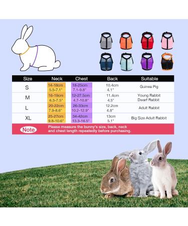 Niteangel Adjustable Soft Rabbit Harness with Elastic Leash - Large Blue | Comfortable & Safe Pet Gear for Rabbits - Buy Online on GoSupps.com