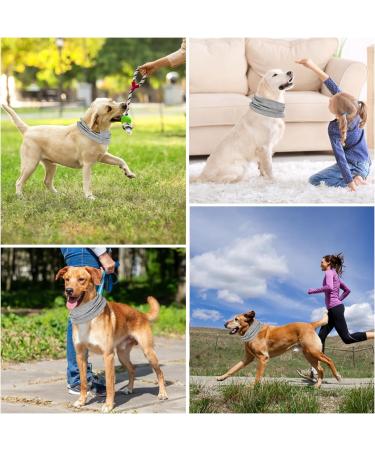Cool Collar for Dogs | Summer Cooling Neckerchief & Bandana - Breathable Heat Discharge - Gray M - Buy Online on GoSupps.com
