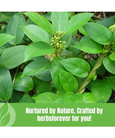 Herbsforever Gurmar Powder Leaves Powder Gymnema Sylvestre Support Healthy Sweet Level Non GMO Organic Vegan 230 GMS Powder_230_GMS - Buy Online on GoSupps.com