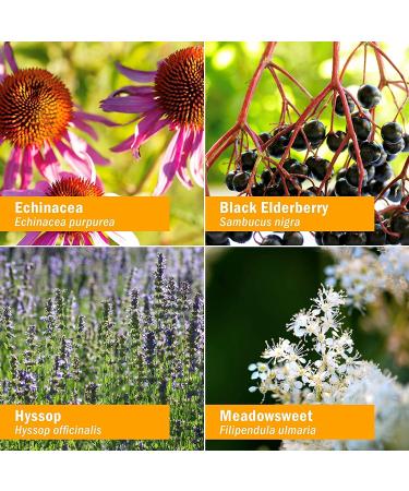 Herb Pharm Kids Immune Avenger Herbal Formula - Alcohol-Free & Certified Organic - 1oz - Buy Online on GoSupps.com