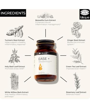 Blisque Natural Inflammation Health Supplement Complex for Healthy Inflammatory Response | Doctor-Approved | with Turmeric Curcumin Ginger Root and Boswellia | 90 Capsules | Vegan and Non-GMO - Buy Online on GoSupps.com