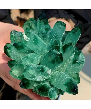 Green Phantom Quartz Crystal Cluster Specimen 200-1000G Suitable for Home HOMEZHOU (Size : Weight:600G-800G) - Buy Online on GoSupps.com