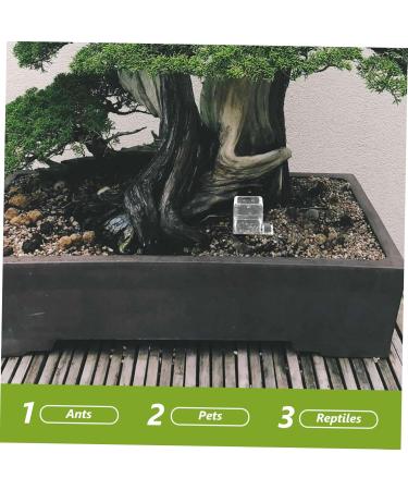 HAPINARY 3pcs Mini Liquid Feeder Ants Water Feeding Clear Ants Feeder Plastic Insect Feeder - Buy Online on GoSupps.com