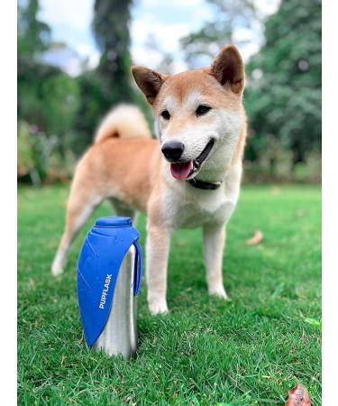 PupFlask Large Dog Water Bottle | 27 OZ Stainless Steel | Nebulas Blue | Leak Proof & Portable Dog Water Dispenser - Buy Online on GoSupps.com