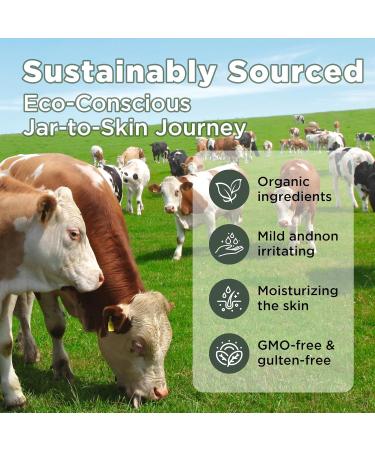 THESKCARE 100% Natural Honey Tallow Balm Multi-Purpose Honey & Grass-Fed Tallow Balm Deep Hydration for Dry Skin Cracked Hands All-Natural No Preservatives or Additives - Buy Online on GoSupps.com