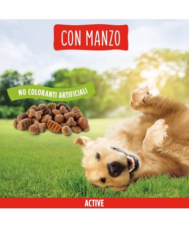 Purina Friskies Active Dog Food with Beef 9 kg - Buy Online on GoSupps.com