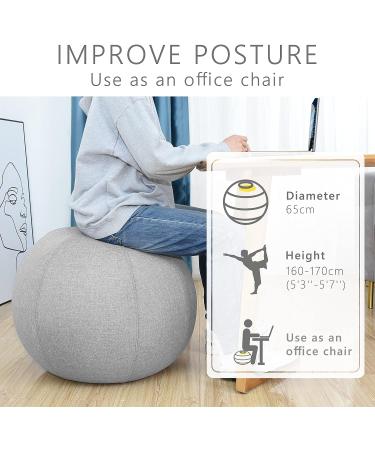 Nanspring Balance Training Exercise Ball Chair | Office & Home Stability Fitness | Ergonomic Posture Activating Ball with Handle & Cover | Light Gray 25x25 - Buy Online on GoSupps.com