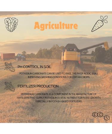 Potassium Carbonate (E501) - 1kg (2.2lb) - Buy Online on GoSupps.com