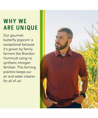 Connect Snacks Non-GMO Large Popcorn Kernels - 24 oz Bag | Gourmet Butterfly Yellow Popcorn | Gluten-Free & Sustainable | 100 Cups Popped - Buy Online on GoSupps.com