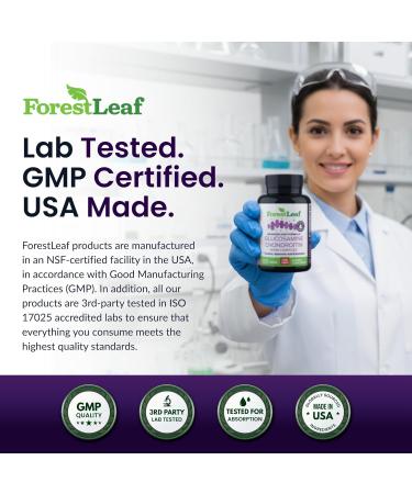 ForestLeaf Glucosamine Chondroitin MSM Joint Supplement Complex - 1200mg - 120 Caps - Buy Online on GoSupps.com