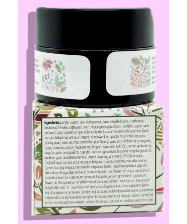 Wild Rose Renewal Eye Cream | Natural Under Eye Cream for Dark Circles & Fine Lines | Green Beauty Skin Care .55 FL OZ - Buy Online on GoSupps.com