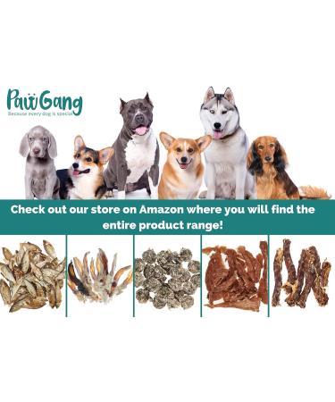 PawGang - Beef Jerky 200g - 100% Natural EU Sourced Treats for Dogs Puppies Young Adult Old Small and Large Dog - Tasty Air Dried Chews Snacks - Healthy Hypoallergenic - Low Fat Grain Free - BARF Raw - Buy Online on GoSupps.com