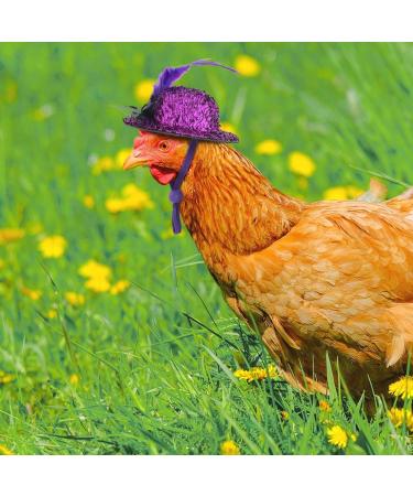 Funny Chicken Accessories: 6-Piece Feather Hat Costume for Small Pets - Adjustable Elastic Chin Strap for Chickens Ducks Parrots & Poultry - Buy Online on GoSupps.com
