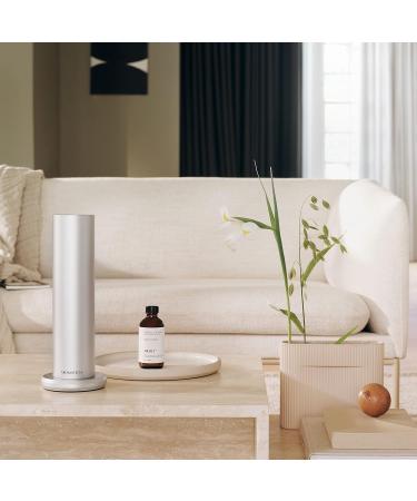 AromaTech Santal Escape Aroma Essential Oil Blend: Luxury Hotel Inspired Aromatherapy with Ocean Air Sandalwood Iris for Ultrasonic Diffusers & Nebulizers - 16 fl oz 500 mL Santal Escape 16.9 Fl Oz (Pack of 1) - Buy Online on GoSupps.com