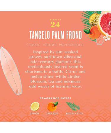 Caldrea Hand Soap Refill Aloe Vera Gel Olive Oil And Essential Oils To Cleanse And Condition Tangelo Palm Frond Scent 32 Oz Liquid hand soap refill - Buy Online on GoSupps.com