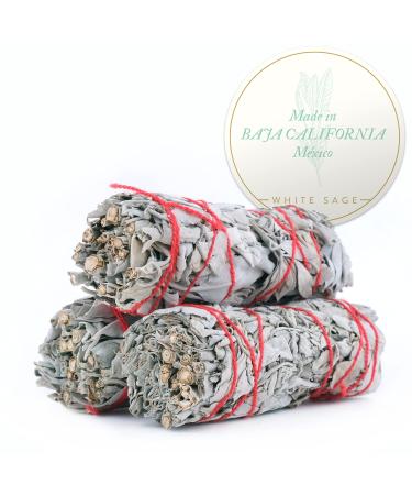 Organic White Sage Sticks - Sage Bundle - (3 Pack) - Smudge Sticks for Cleansing Home, Meditation, Yoga, Healing and Smudging | Sustainably Sourced Baja California White Sage
