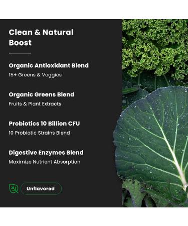 NutraChamps Super Greens Powder Premium Superfood | 20+ Organic Green Veggie Whole Foods | Wheat Grass Spirulina Chlorella | Antioxidant Digestive Enzyme & Probiotic Blends (9.0 Oz Unflavored) 9 Ounce (Pack of 1) - Buy Online on GoSupps.com