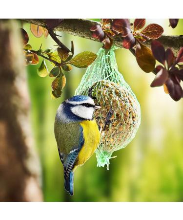 Buy Paul's M hle Fat Balls (100 Pieces 9kg) - Premium Bird Feed International Shipping Available - Buy Online on GoSupps.com