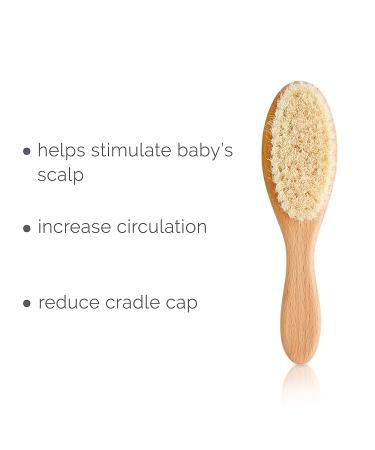 Natemia Baby Hair Brush and Comb Set - Natural Soft Bristles - Ideal for Cradle Cap - Baby Registry Gift Set - Buy Online on GoSupps.com
