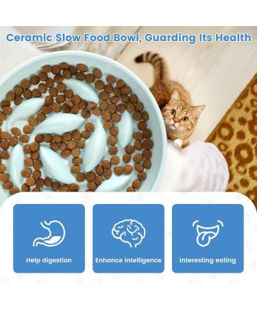 IDOGCHEW Ceramic Cat Slow Feeder Bowl - Anti-Gulping Puzzle Feeder for Healthy Eating - Non-Slip, Spill Proof - Green - Buy Online on GoSupps.com