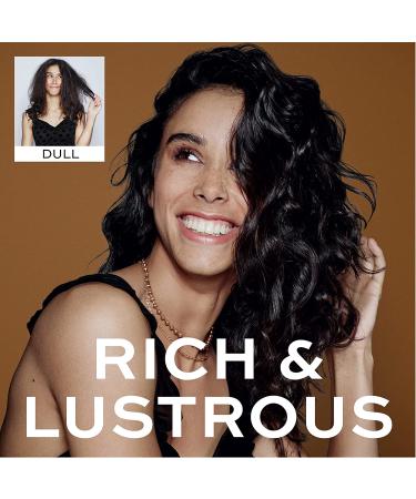 Midnight Brunette Shampoo & Conditioner Set - Enhance Dark Hair with Evening Primrose & Cocoa, 8.3 fl oz (Pack of 2) - Buy Online on GoSupps.com