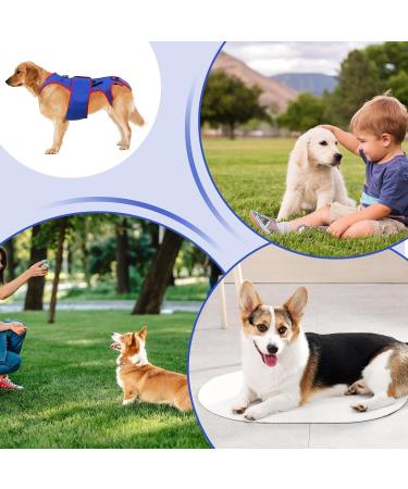 Small Dog Back Brace Spinal Support | Pet Support and Rehab Harness Soft Hip Leg Support D-Ring and Reflective Strips Back Protector Support Helps Hurt Relief Dogs Back - Buy Online on GoSupps.com