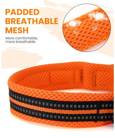 PETTOM Adjustable Nylon Dog Collar - Breathable Reflective Small Size (Orange) - Ideal for International Shipping - Buy Online on GoSupps.com