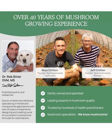Real Mushrooms 5 Defenders for Humans (45g) & Pets (90ct) - Pouch & Capsules Bundle - Chaga Shiitake Maitake Turkey Tail & Reishi Mushroom - for Immune Strength & Overall Wellbeing - Vegan Non-GMO - Buy Online on GoSupps.com