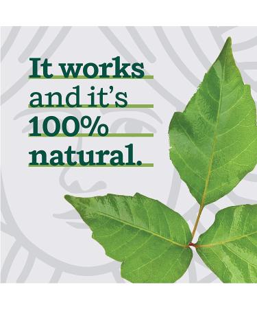 Maries Original Poison Ivy Soap Bar - 100% All Natural Triple-Acting Anti-Itch Treatment for Poison Ivy, Oak, and Sumac - Removes Oils, Soothes Rashes - 2.9oz (Pack of 2) - Buy Online on GoSupps.com