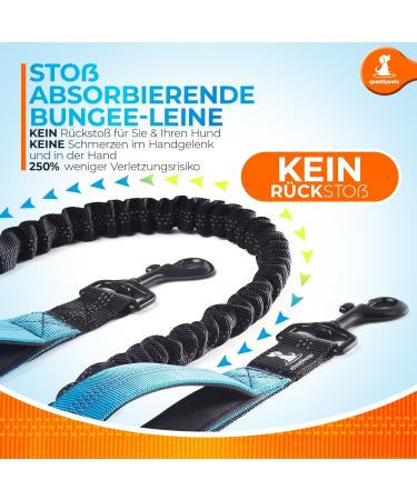 2-in-1 Jogging Leash & Dog Leash for Large/Medium Dogs | Double Handle & Belly Belt | Ideal for Walking Jogging Hiking - Blue - Buy Online on GoSupps.com