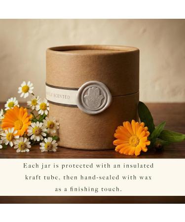Miracle Tallow Balm - Hand-Crafted in the USA With Manuka Honey Grass-Fed Tallow & Medicinal Plants for Healing & Nourishing All Skin Types (1 oz Barely Scented) Barely Scented 1 Ounce (Pack of 1) - Buy Online on GoSupps.com