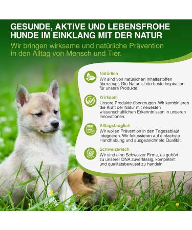 BogaProtect Spot On Dog - Natural Flea & Tick Protection for Dogs 4-10 kg | Long-Lasting Tick Remedies - UBO0351 - Buy Online on GoSupps.com