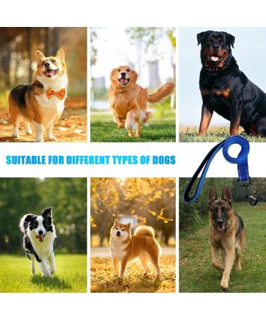 DOKI Reflective Double-Sided Nylon Dog Lead with Padded Handle - 1.2m Strong Leash for Small, Medium, Large Dogs (3.9FT Blue) - Buy Online on GoSupps.com