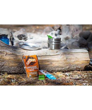 Skout Backcountry Organic Energy Bars - Peruvian Chocolate (12 Count) | Buy Internationally - Buy Online on GoSupps.com