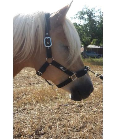 Buy JF-Reitsport Cavesson Pro 2021 | 4-Way Adjustable Soft & Shock-Absorbing for Minishetty | International Shipping Available - Buy Online on GoSupps.com