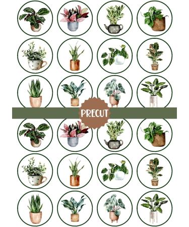 PRECUT Plants Edible Cupcake Toppers - Crazy Plant Lady Theme Premium Thickness SWEETENED VANILLA - wafer card disc cake decorations (Pack of 12) - Buy Online on GoSupps.com