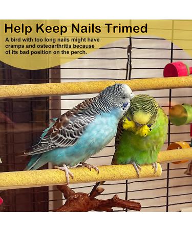 24 Pack Sand Rod Covers for Small Birds | Parasite Protection for Canaries & Finches | Bird Seat & Sandpaper Perch Covers - Buy Online on GoSupps.com