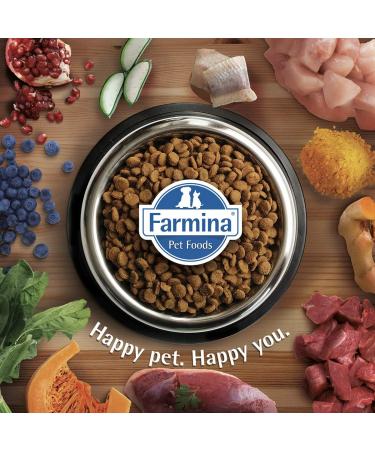 N&D Pumpkin Dog Chicken & Pomegranate Starter Puppy All Breeds 800 GR - Buy Online on GoSupps.com