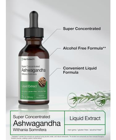 Horb ach Ashwagandha Root Liquid Extract | 2 fl oz | Alcohol Free Tincture | Vegetarian Non-GMO Gluten Free Supplement - Buy Online on GoSupps.com
