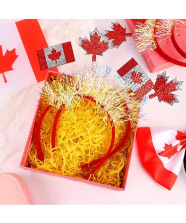 OBANGONG Canada Day Headbands - 4 Pcs Maple Leaf Flag Headband Set for Kids & Adults | Canadian Themed Party & Soccer Events Accessories - Buy Online on GoSupps.com