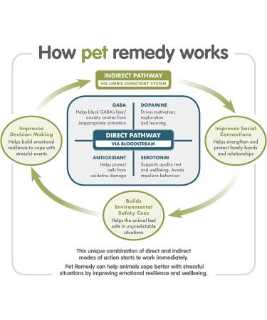 Pet Remedy Natural Calming Wipes Pack of 12 12 Count (Pack of 1) - Buy Online on GoSupps.com